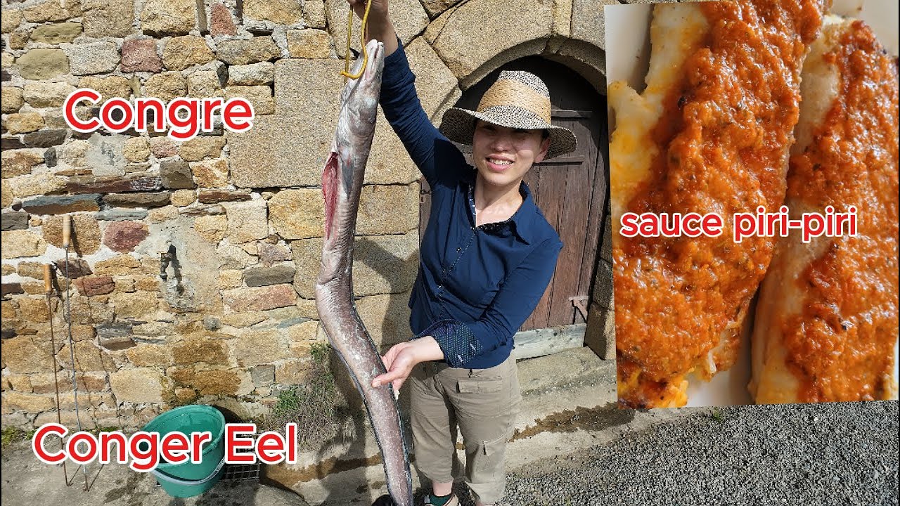 Congre sauce piri-piri / Conger eel with sauce peri-peri