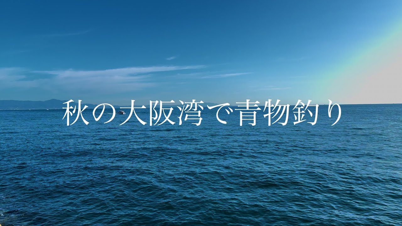 【青物釣り】アジのノマセで狙う大阪湾の青物。#青物 #飲ませ釣り #淡路島 