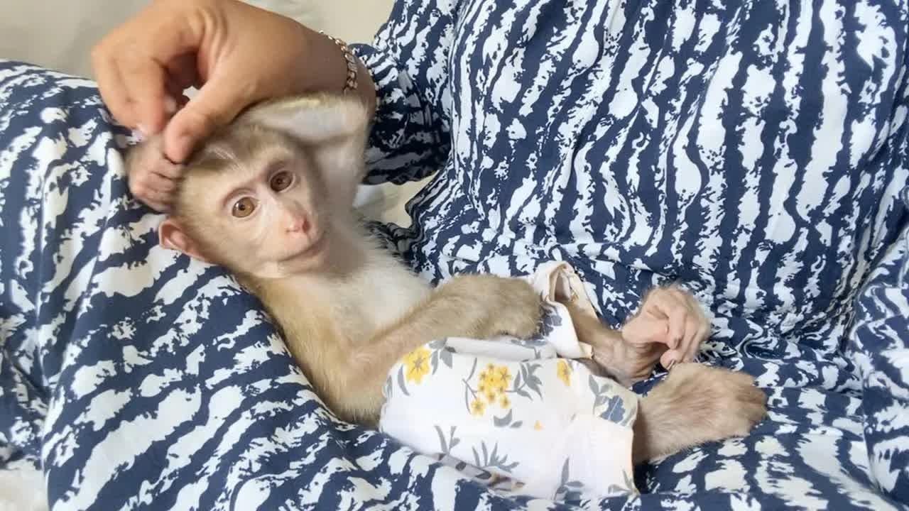 Mom Teach Baby DAM Putting Hand On Head To Sleep Alike Human