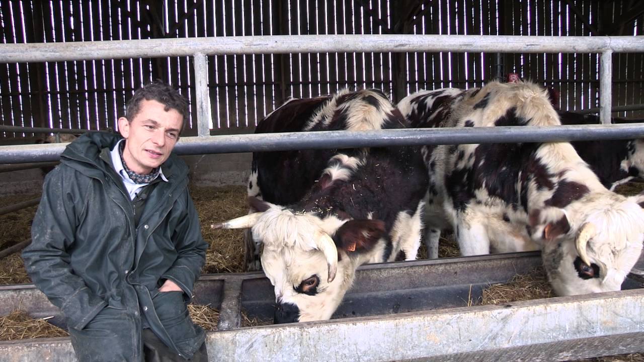 EARL DES COUDREAUX / 9ème édition des Trophées du Développement Durable