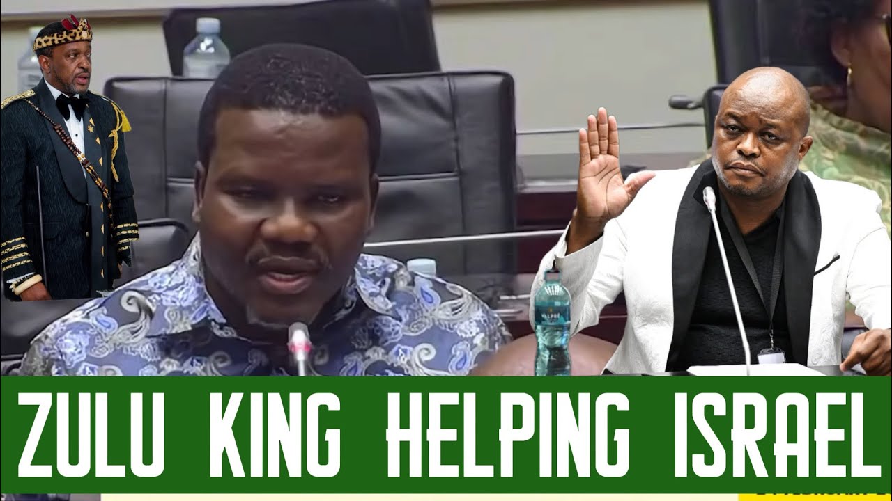 ANC NTULI GRILLING MOKGOTSI - YOU TOO COZY WITH CRIMINALS, YOU LIE AND MANIPULATE PEOPLE, ANC MEMBER