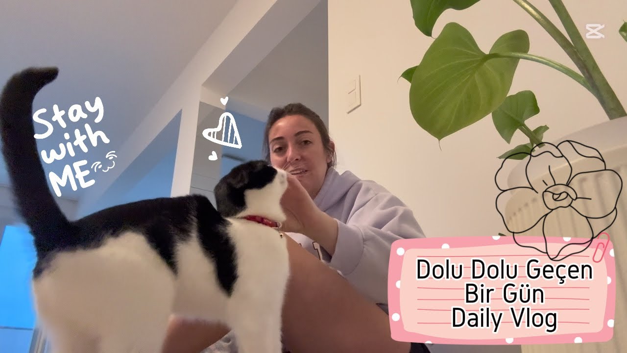 Daily Vlog 