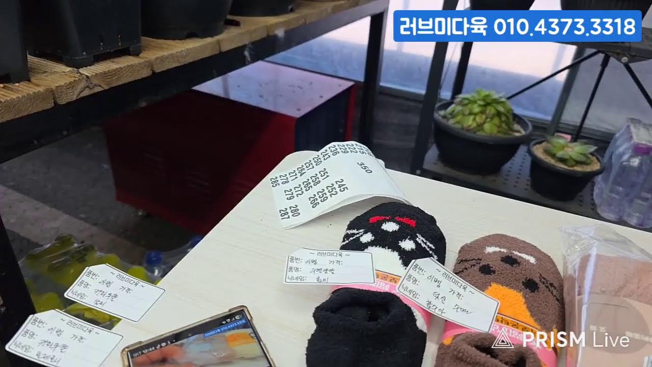 (1.27.화) 러브미다육 #금다육 #식물 #흙 #라이브 방송