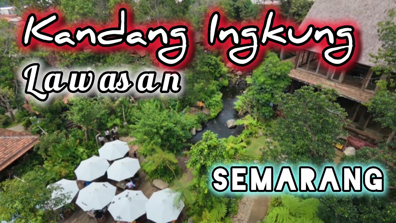 RESTO VIRAL 📌 KANDANG INGKUNG LAWASAN SEMARANG