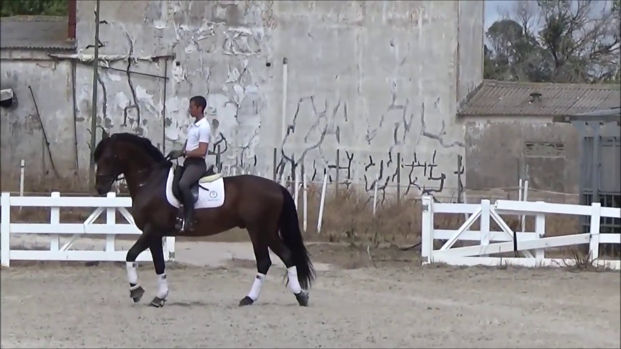 João Torrão & Equador MVL - Training Session - 2015-08-26