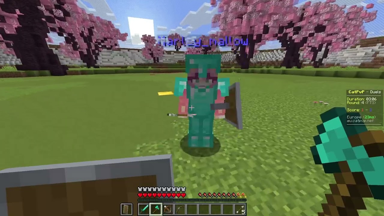 2026 01 20 therealsquiddo - Learning to PVP?? Part 1