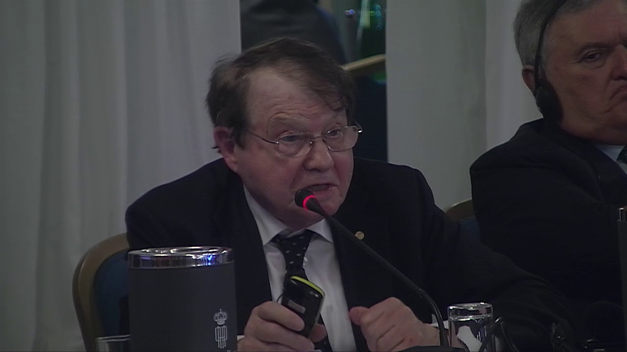 LUC MONTAGNIER  NEW FRONTIERS OF BIOLOGY   MARCH 2ND, 2018 ROME