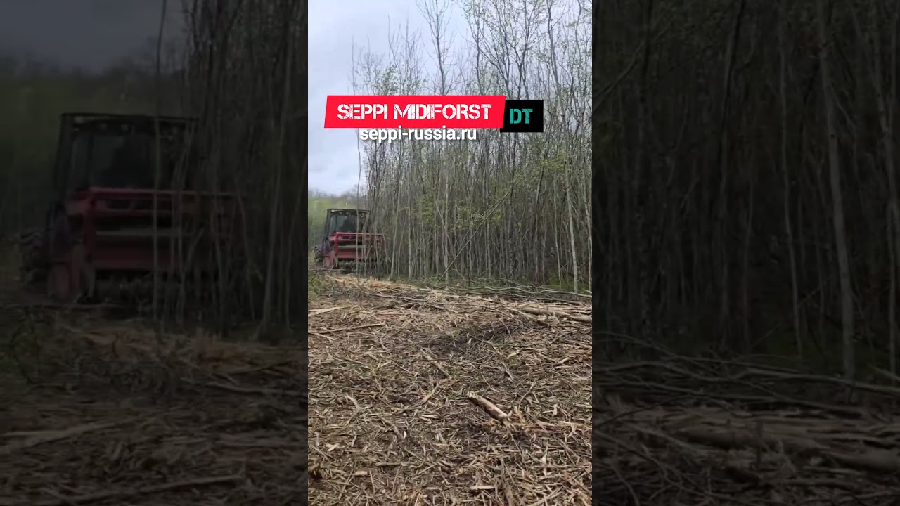 Измельчитель веток. Мульчер SEPPI MIDIFORST DT с трактором МТЗ 1523 в работе.