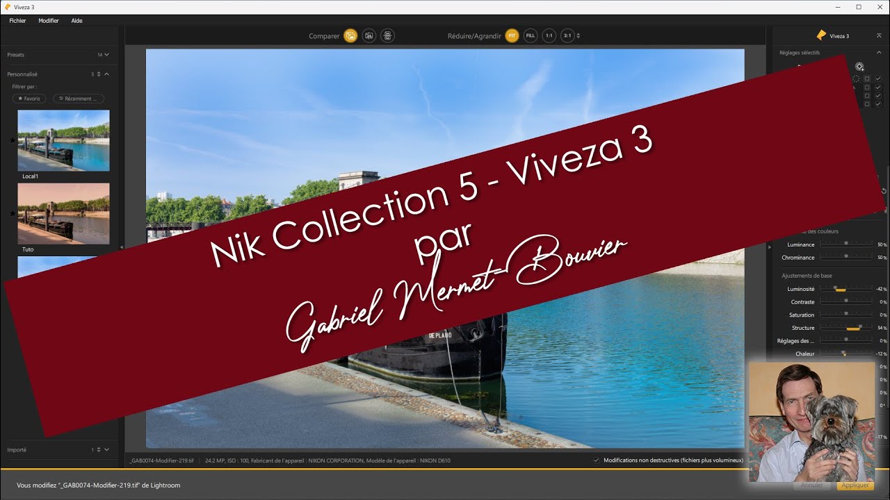 Nik Collection 5 - Viveza 3