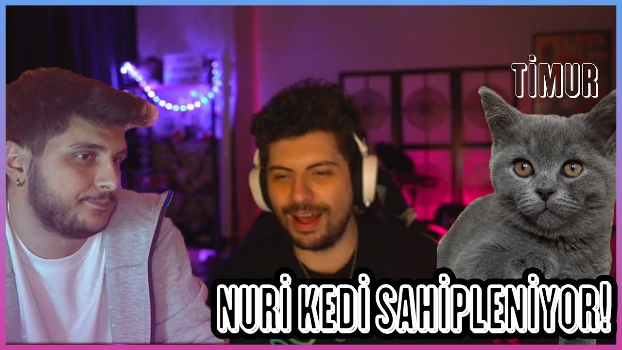 YAYINDA NURİ KEDİ SAHİPLENİYOR ! (TİMUR) | HYPE (EKİPLE)