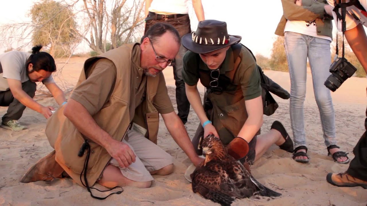 Abu Dhabi Falconry Festival 2014 - Czech Republic