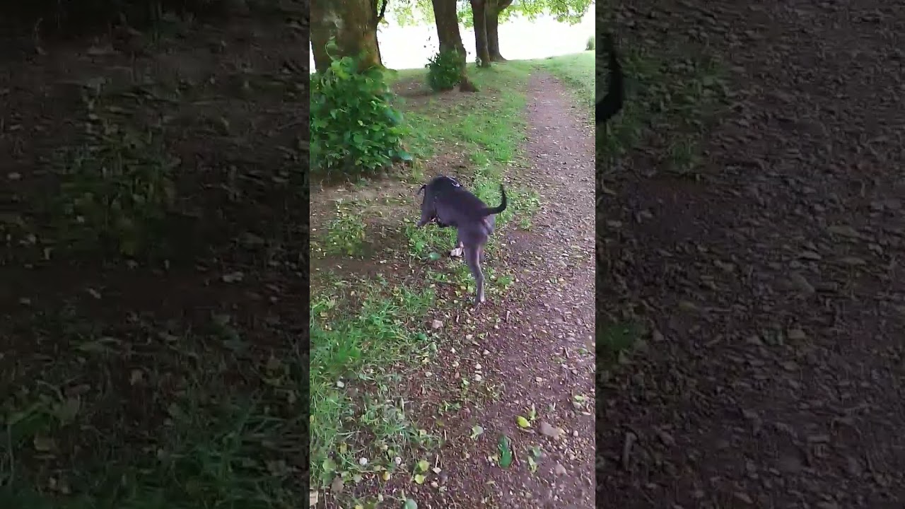 👍🏾 soldat sans grade 🤞🏾😂