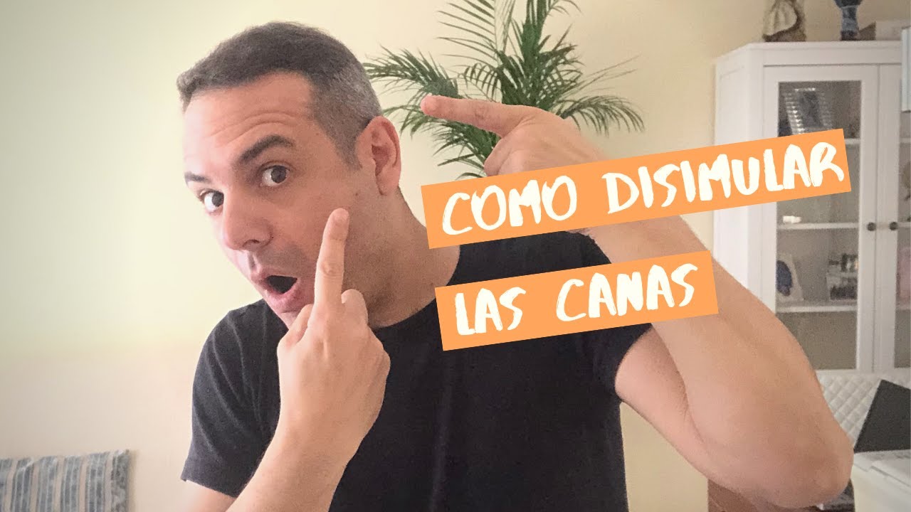 Como disimular las canas | Noir Salón