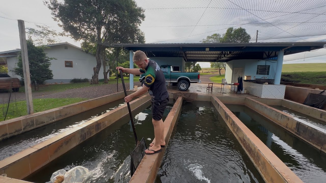 Peixes disponíveis na ACQUADOCE