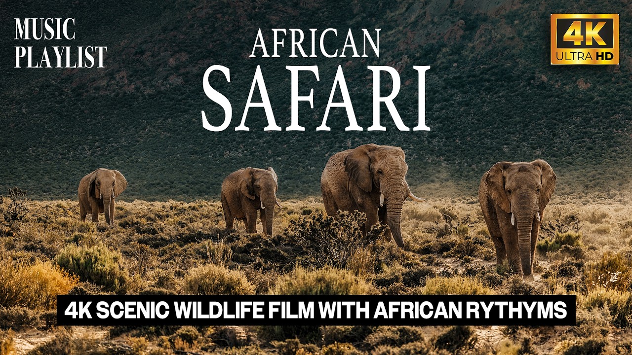 African Safari 4K - Scenic Wildlife Film With African Music