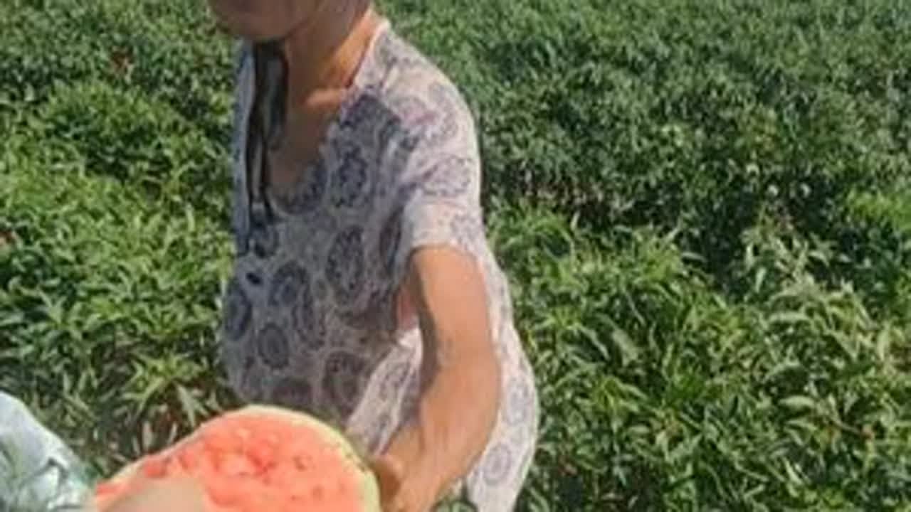 七旬老人顶着高温在地里干活，难道不怕中暑嘛？她们的想法很简单，就为了给孩子们减轻负担和压力，这或许是很多农村老人的想法了。