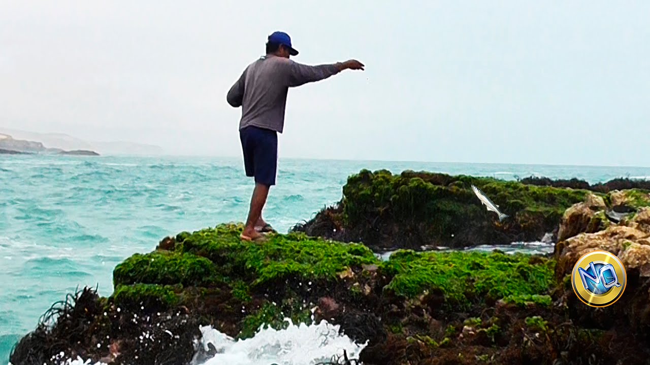 Рыбалка пород