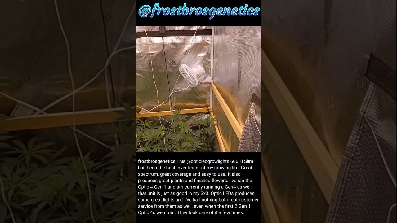 Customer Review - Slim 600h & optic4's - Customer since 2017 - Longest lasting Grow Lights