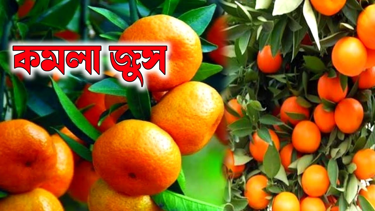 Home made juice || Indian lemon juice || skin glowing fruit juice || immunity froth fruit juice