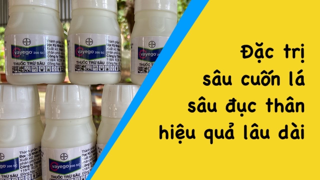 Vayego 200SC. Đặc trị sâu kháng thuốc, sâu khó trị. Hiệu quả kéo dài trên 2 tuần