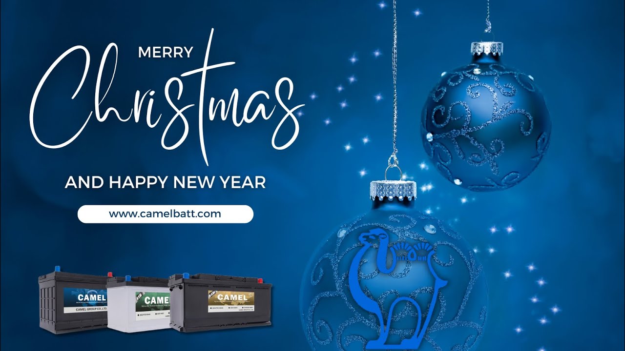 Camel Christmas Party