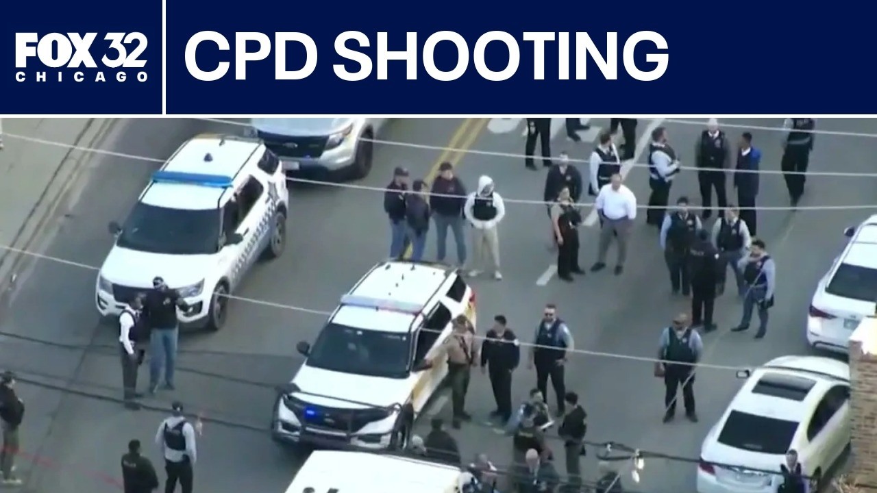 Chicago police shoot, kill driver who fled, hit a pedestrian, CTA bus, CPD says