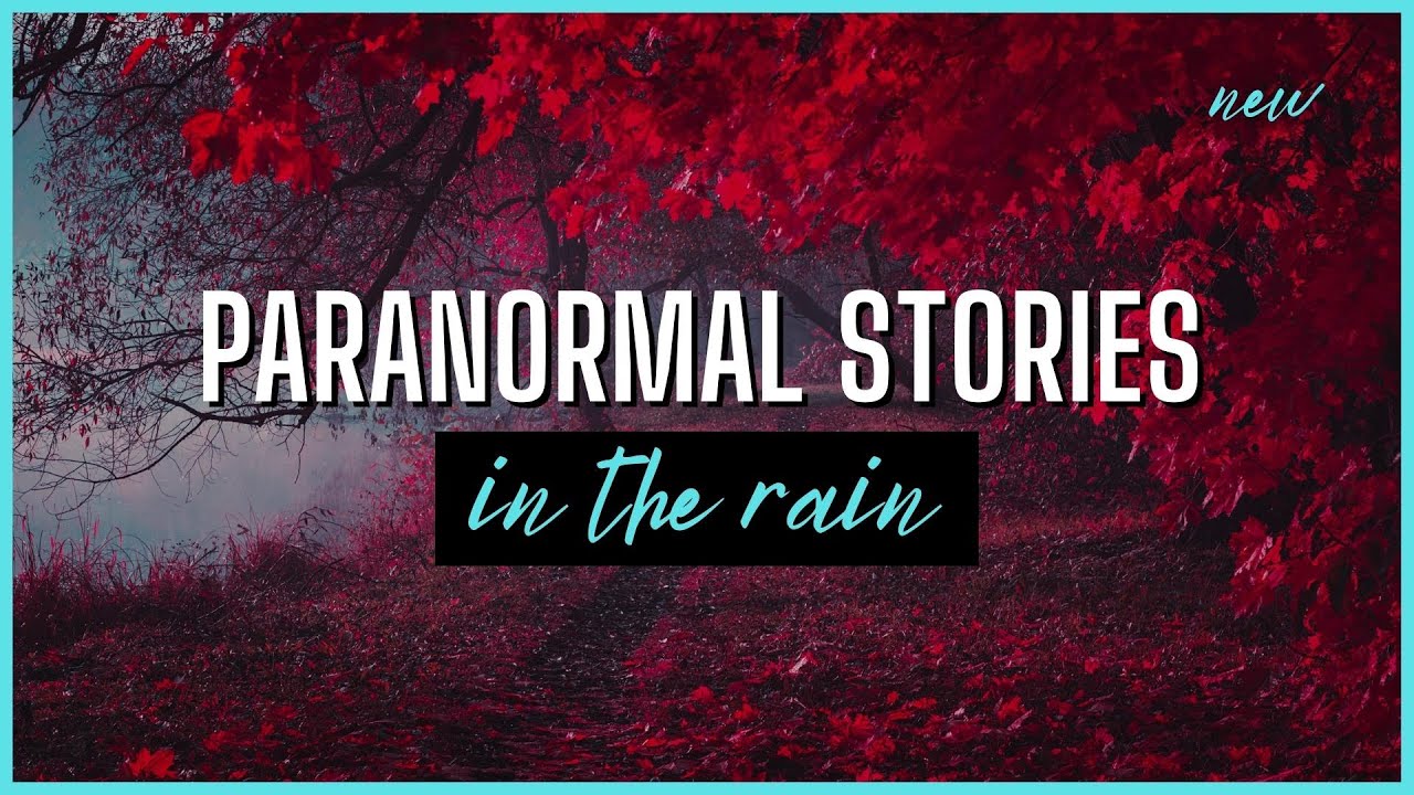 18 TRUE Paranormal Stories in the Rain | TRUE Scary Stories In the Rain | Raven Reads