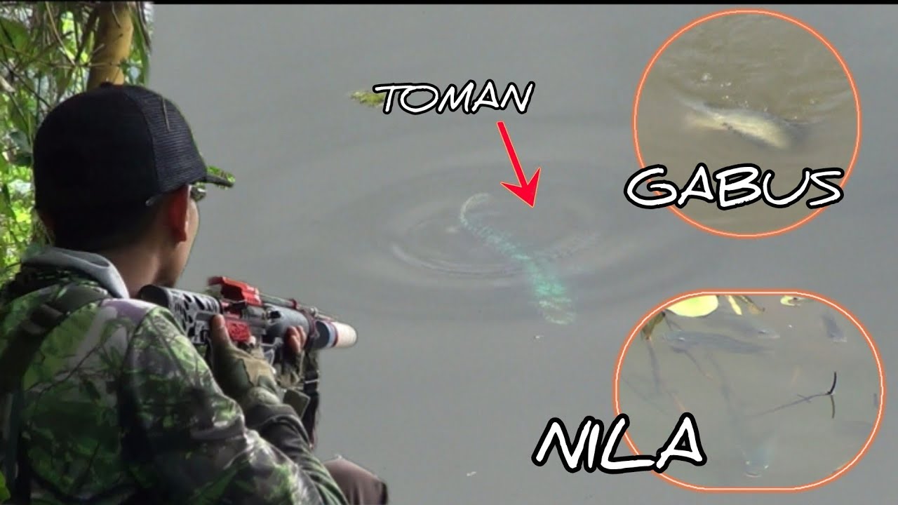 Paser mania | KELILING SAGULING HUNTING IKAN#maserikan#paserikanterbaru#hunterfish