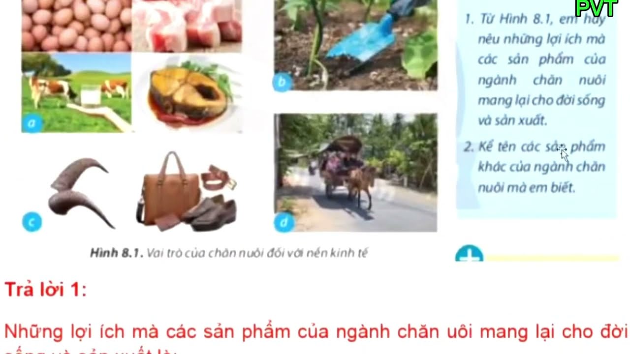 PVT-CN7. Bài 8 NGHỀ CHĂN NUÔI Ở VIỆT NAM 