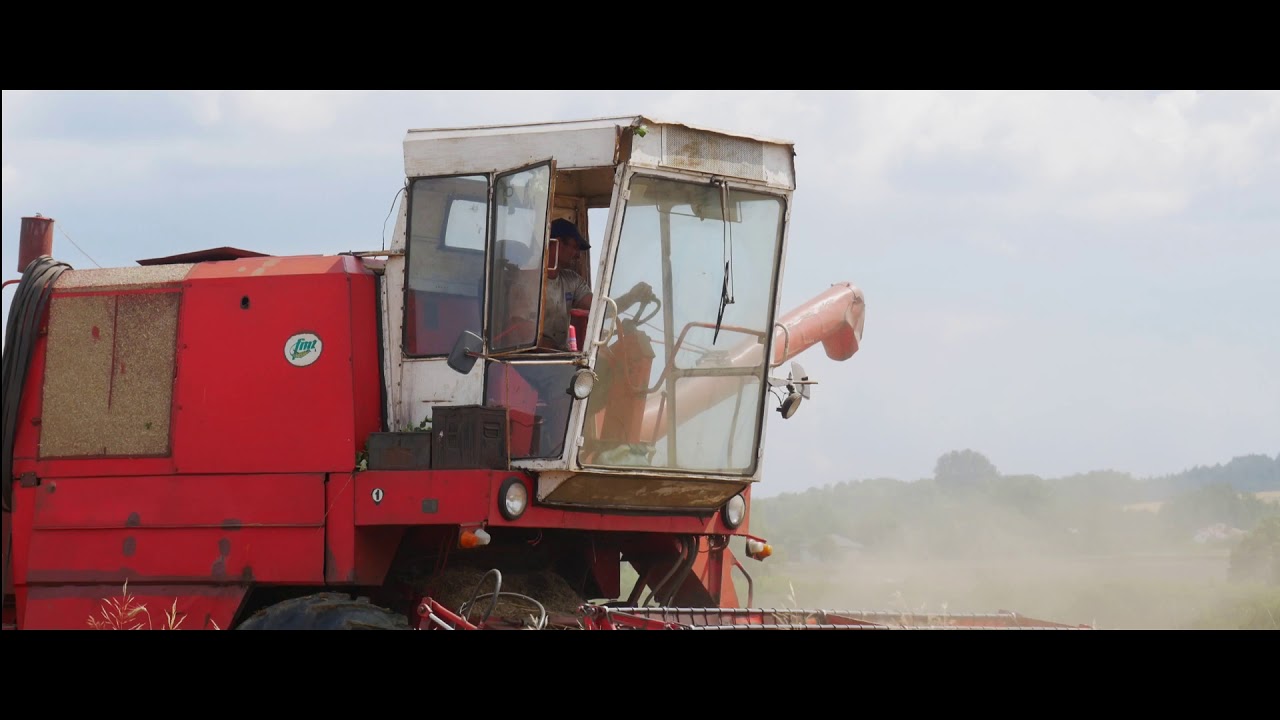 Żniwa 2019 w Spółdzielni Usług Rolniczych || Bizon Super Z056