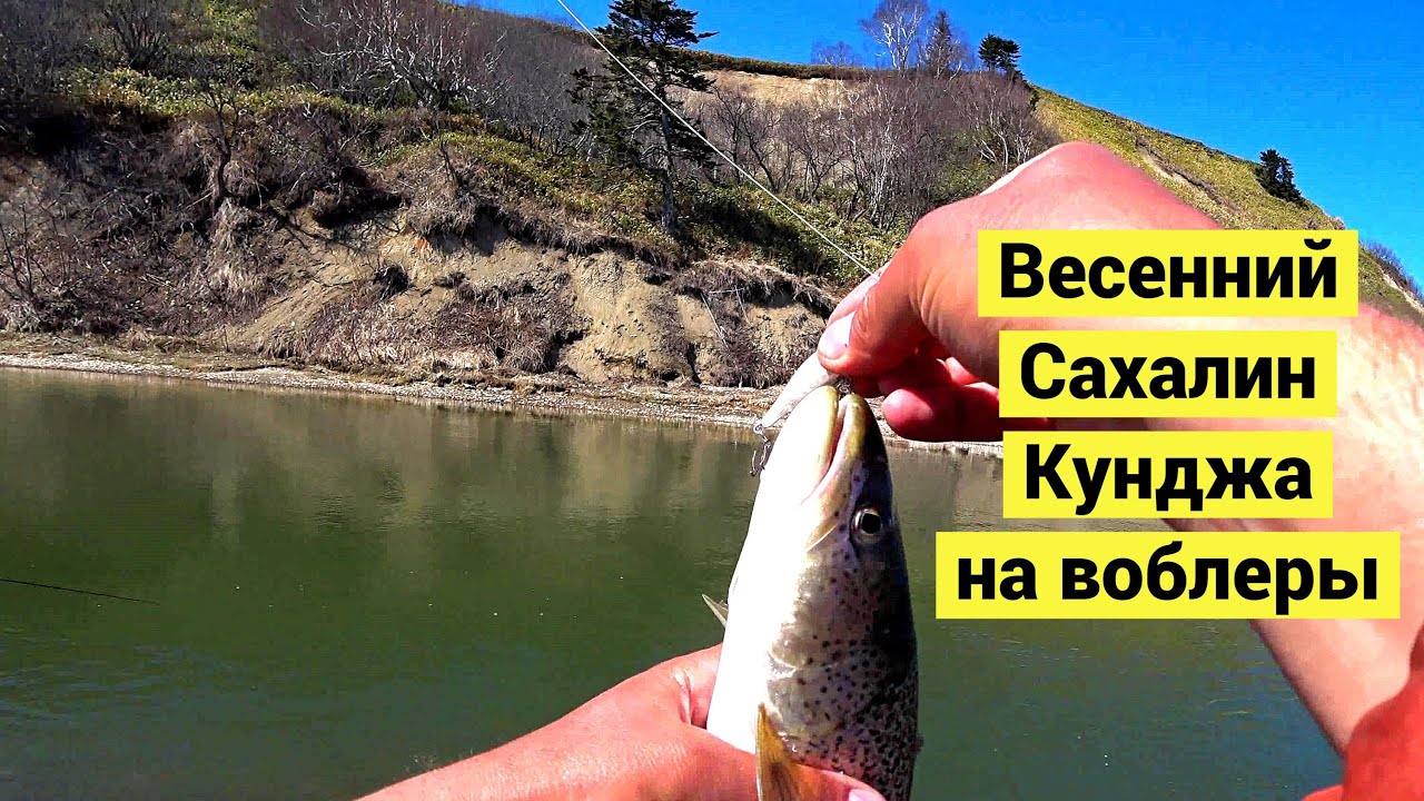 Весенний Сахалин. Кунджа на воблеры