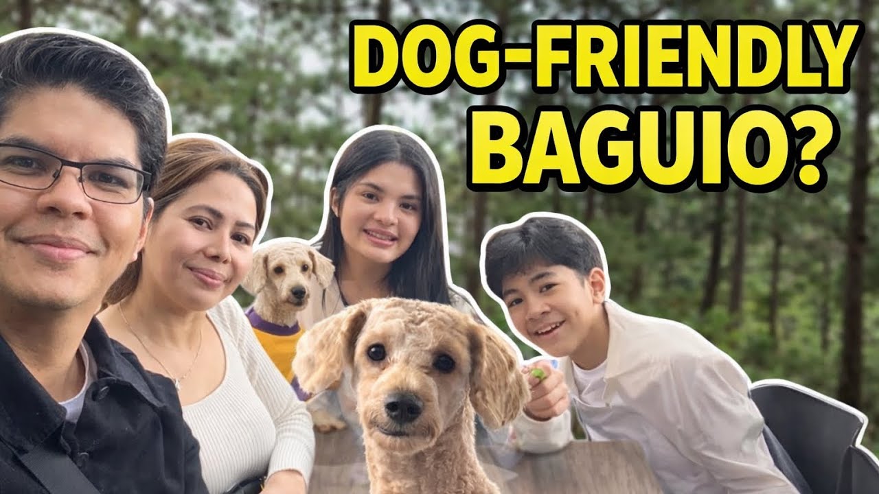 Baguio with our Pet Poodle • Camp John Hay • Cafe Stella • Sky Ranch • SM • Mines View