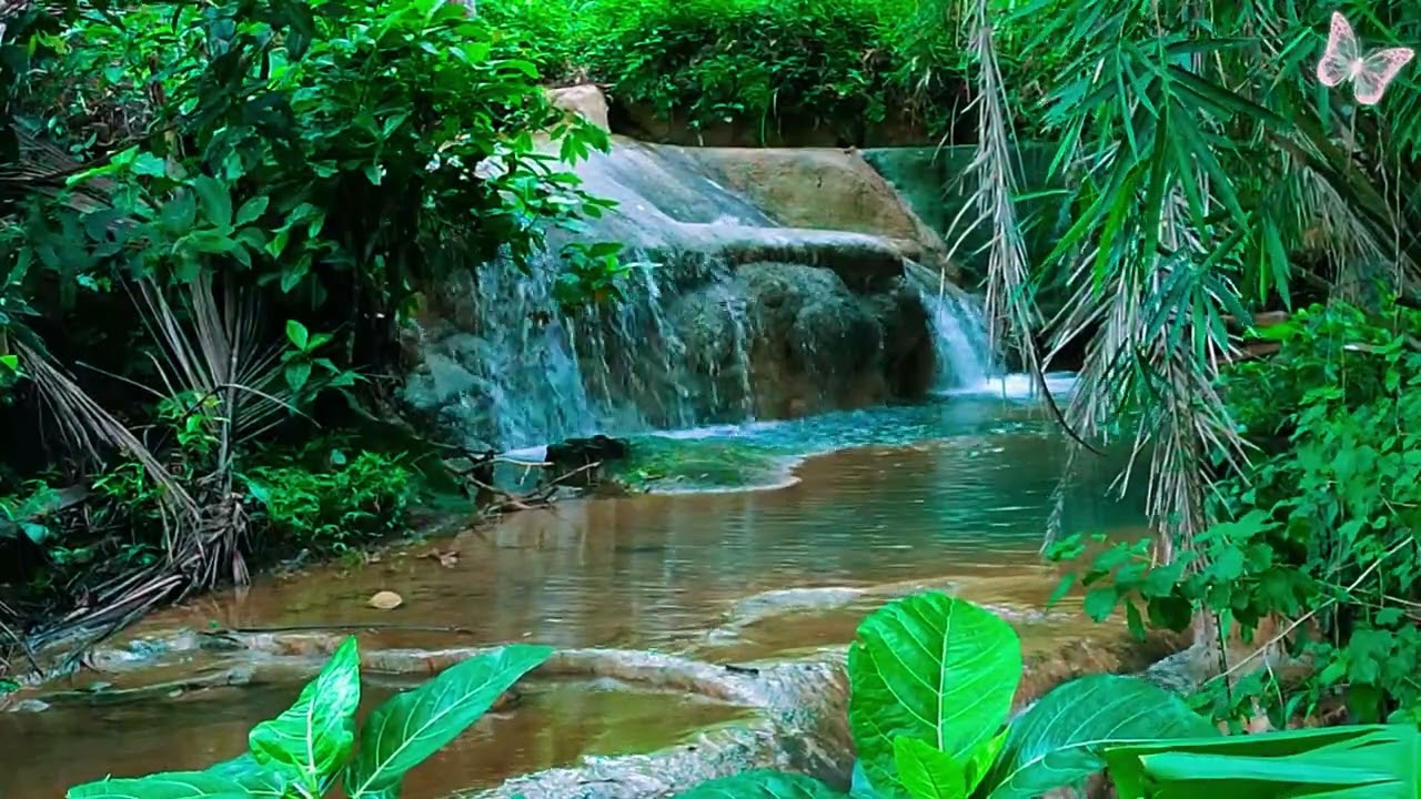 Relaxing Music For Stress Relief, Anxiety and Depressive States🌲 Heal Mind, Body and Soul Calm 36