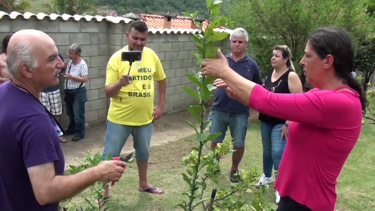 FANÁTICOS POR PARREIRAS EM PODAS NA AMIGA FÁTIMA 03, Plantar em Casa