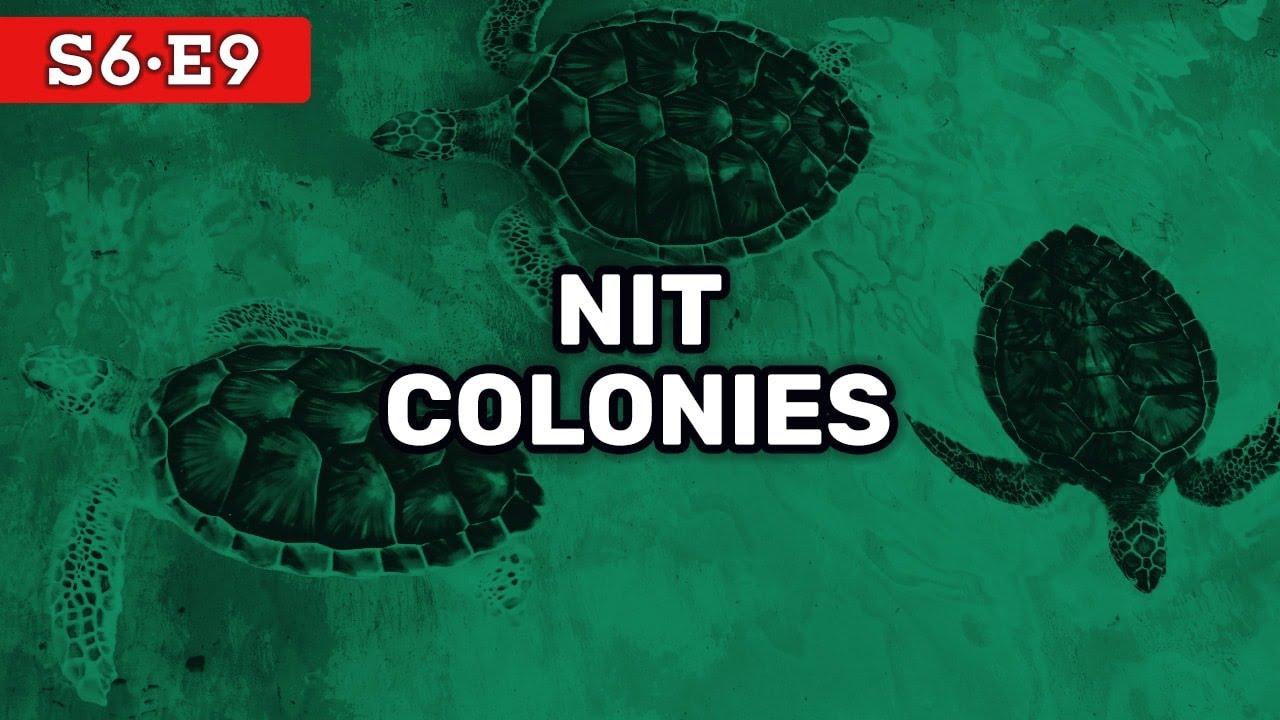 Nit Colonies | Red Chip Poker S6E9