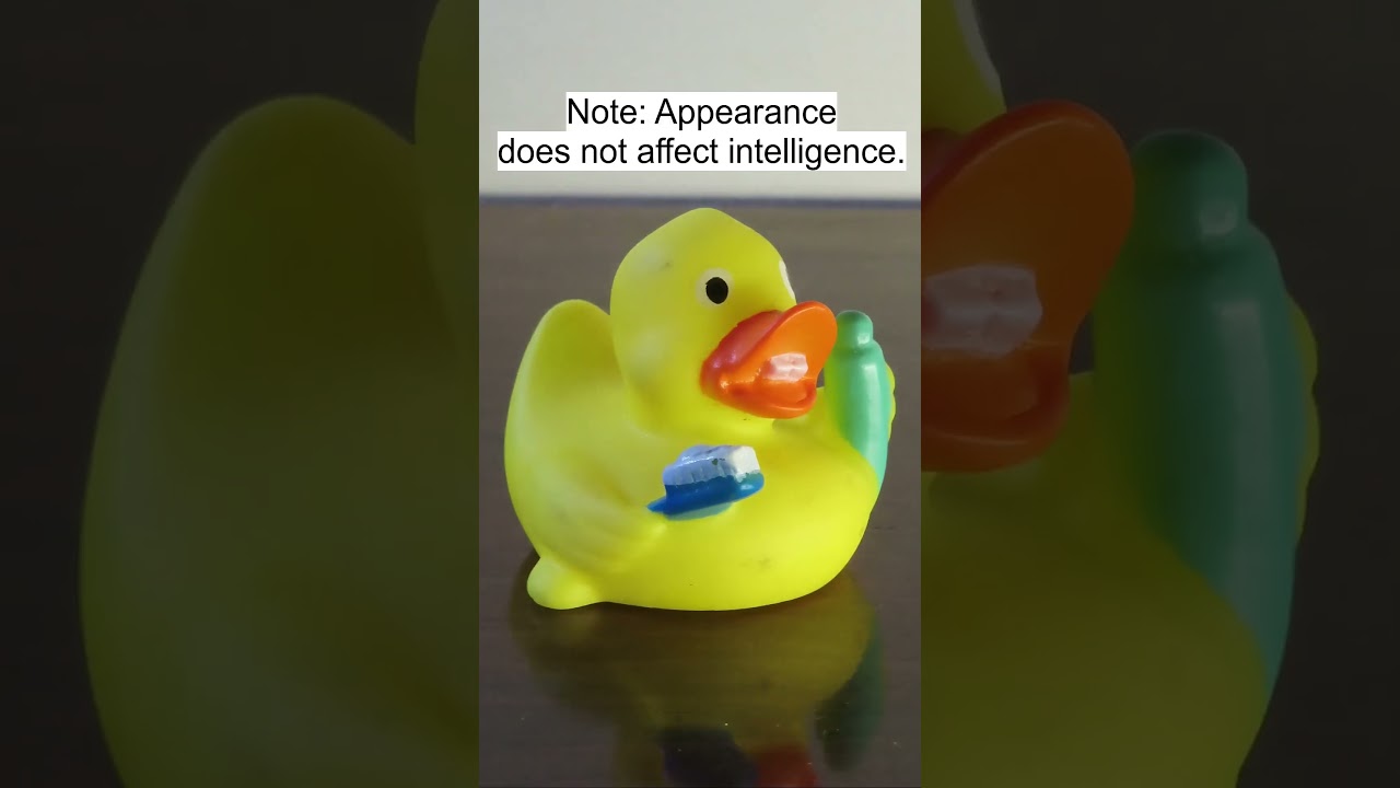 Rating The Rubber Ducks From The Claw Machine At The Place I Work - 19  #duck #bathtoys  #rubberduck