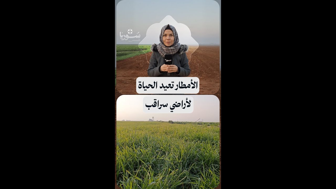 عودة المزارعين في سراقب إلى حقولهم، ومطالبات بزيادة دعم الأسمدة