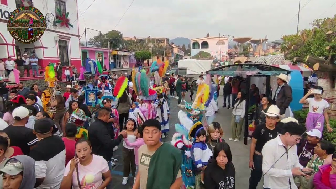 BANDA APACHE EN TOTOLAPAN MORELOS 2025-2