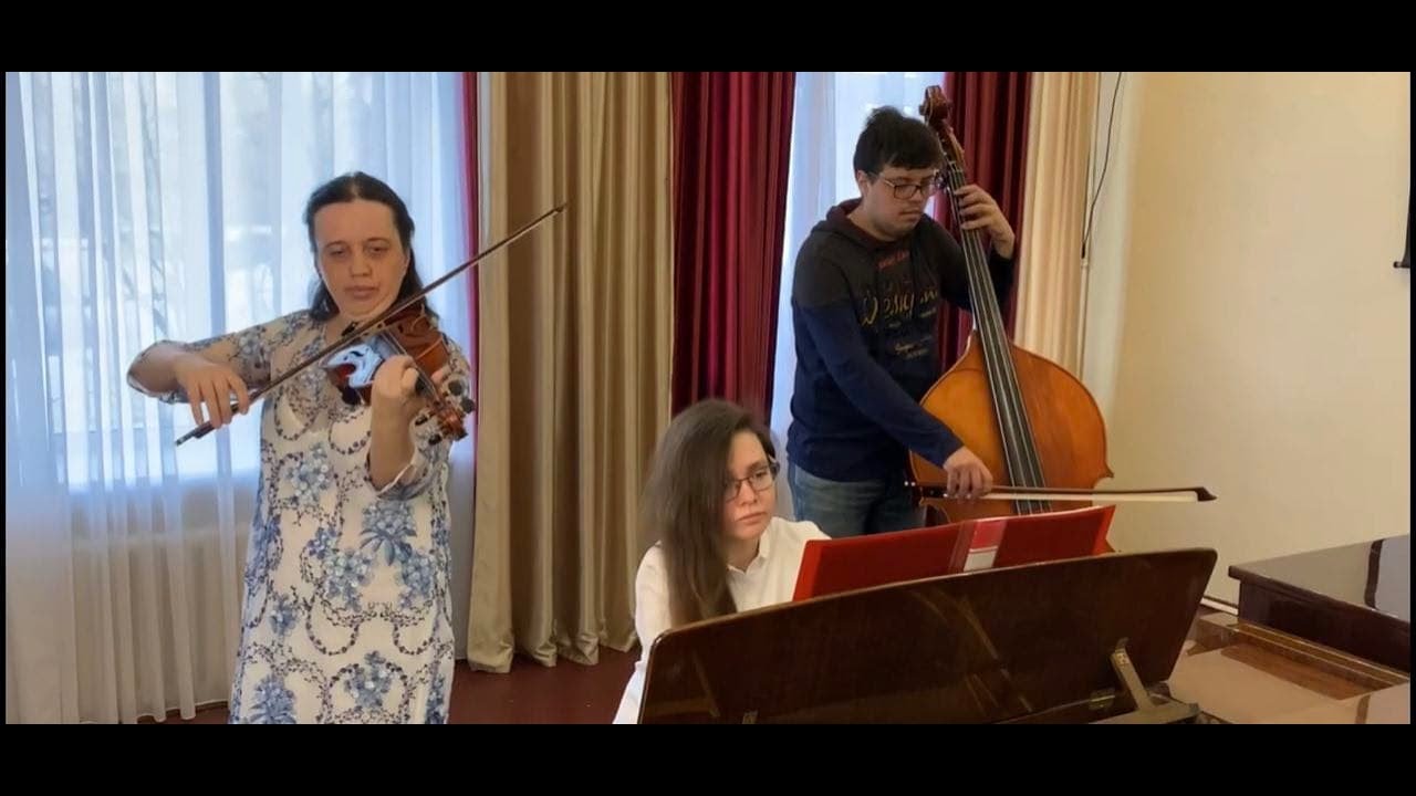 Albina Zayni - A Thousand Years [Violin Cover]