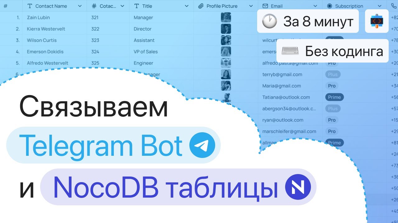 Подключаем интеграцию NocoDB таблиц с чат-ботом в Telegram | Альтернатива Google Sheets
