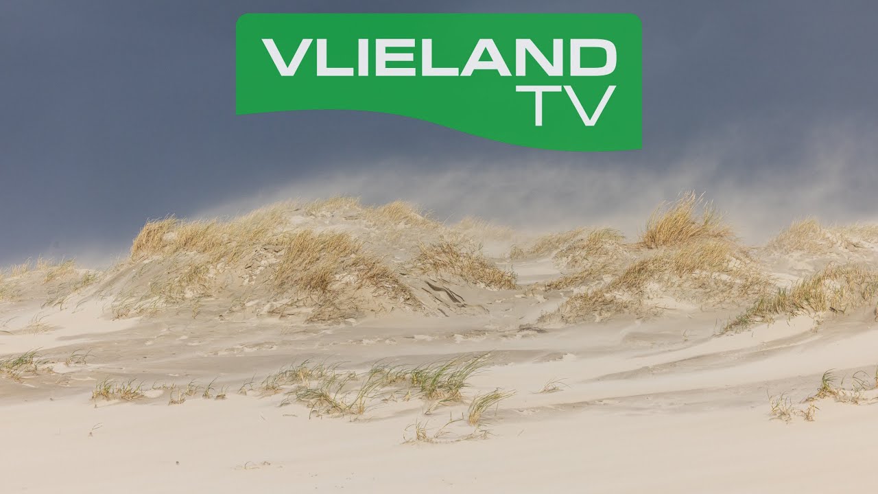 Windkracht 8 en Stuifzand op Vlieland