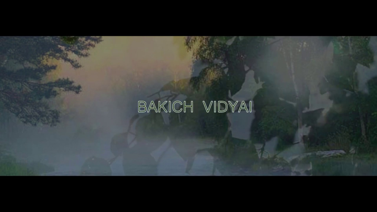 Бакич Видяй  - NUDEY