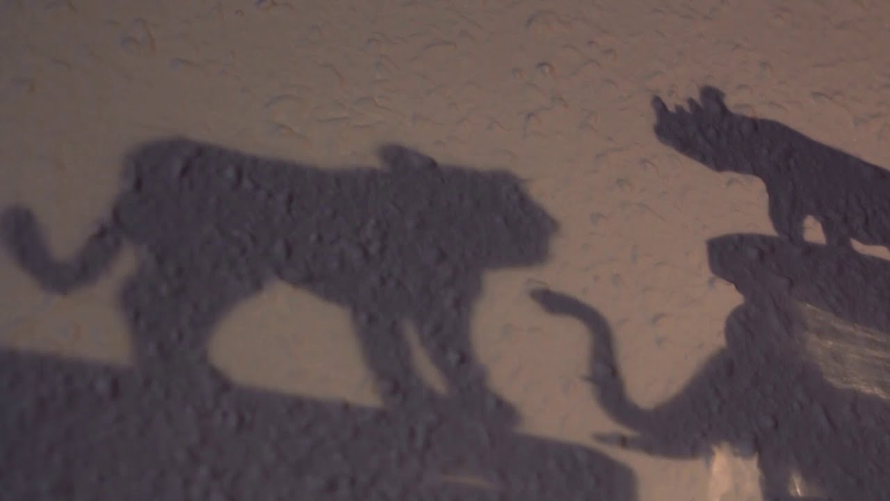 SOMBRAS | VIDEOARTE  | VIDEOART