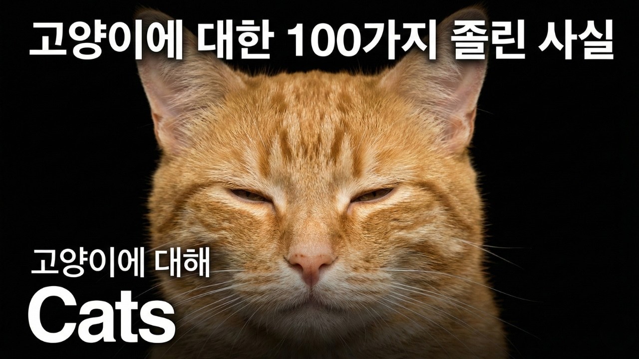 잠들기 전에 듣기 좋은 고양이에 대한 가장 편안한 사실들 (과학이 말하는)