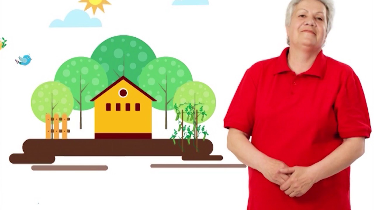 Голова садовая - Засолка томатов