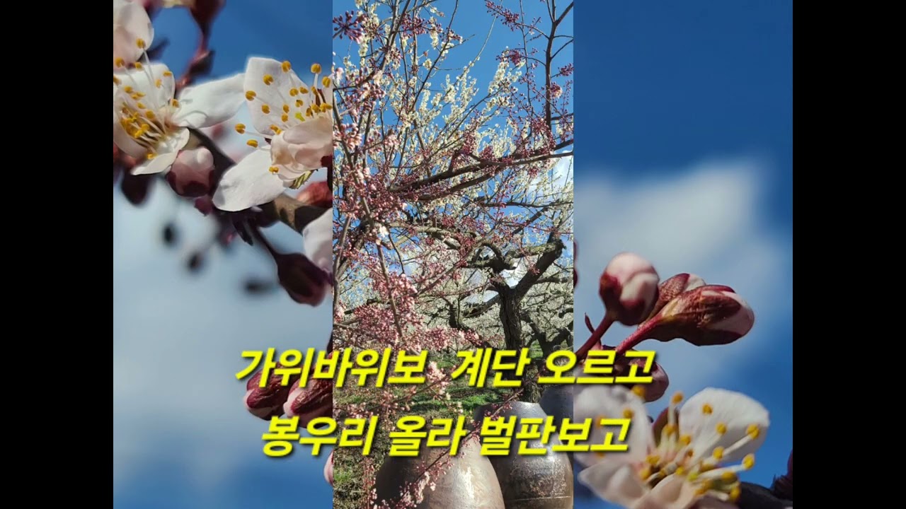 봄 소풍 간 날 (행복한 하루)