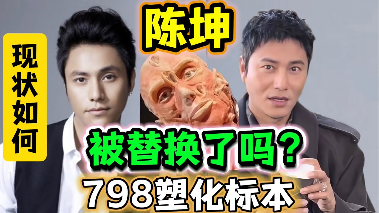 陈坤被替换了❓798塑化标本是他吗？池田vs陈坤，现状分析
