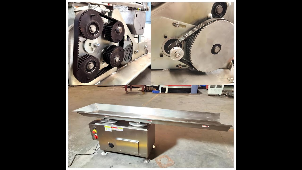 Fast Back Conveyor/Stainless Steel Conveying Equipment