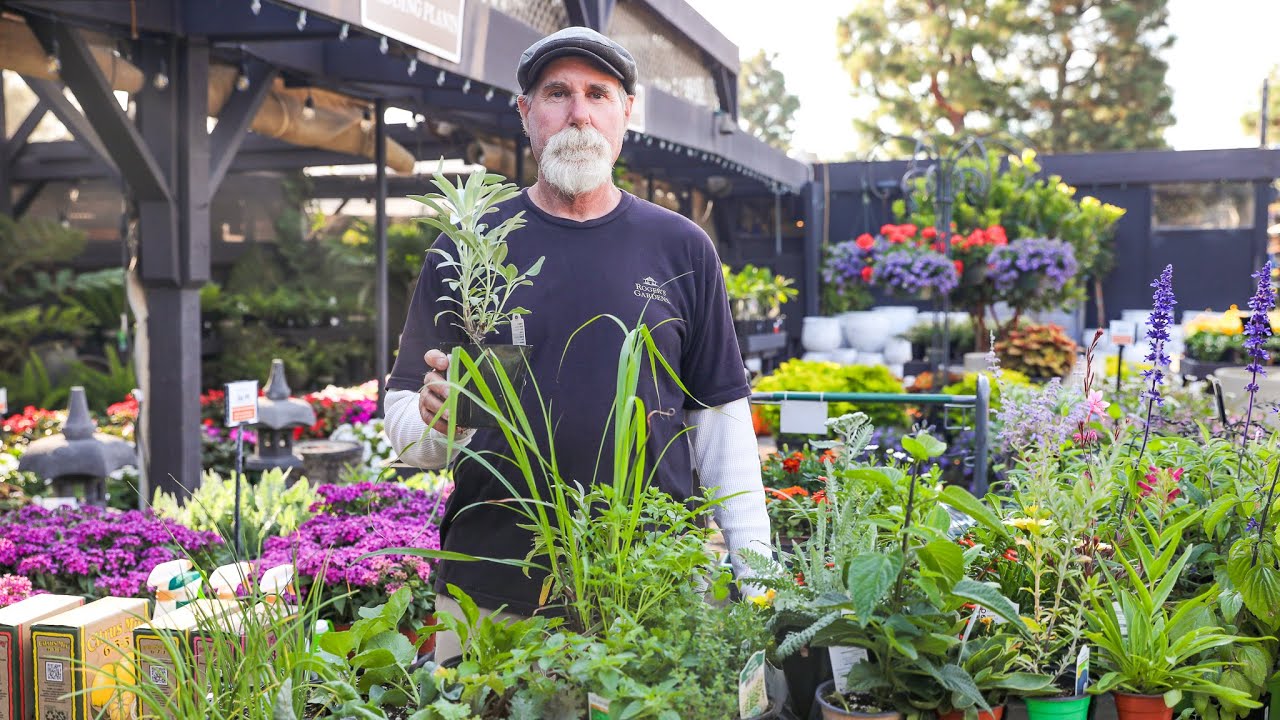 October Monthly Gardening Checklist