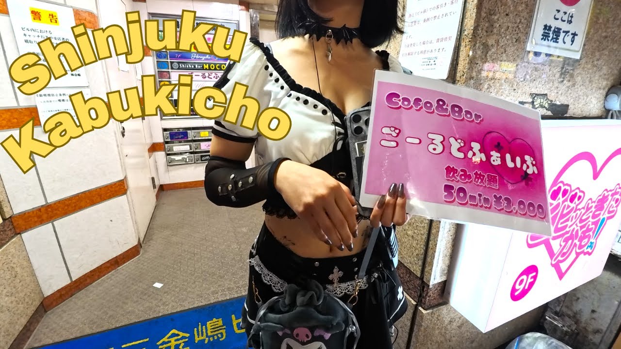 Shinjuku Kabukicho, Hostess girl and Touts.